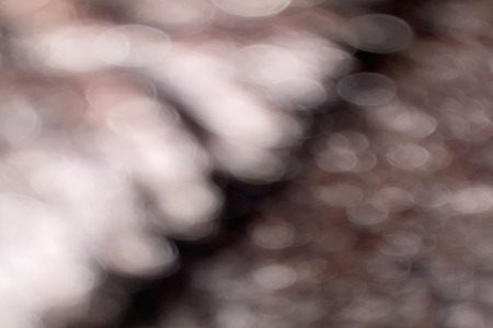 Square image