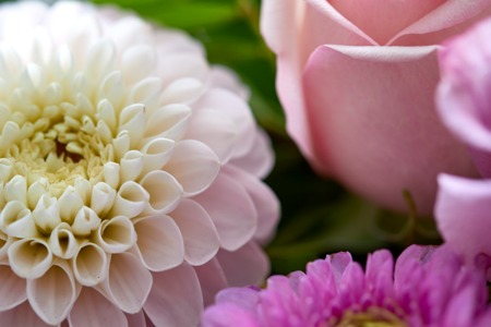 Square flowr 56 1 